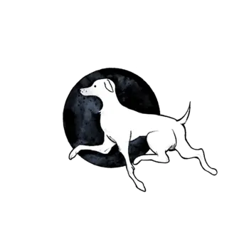 Your Wedding Photography